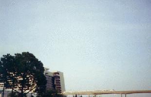The Contemporary Resort/Monorail