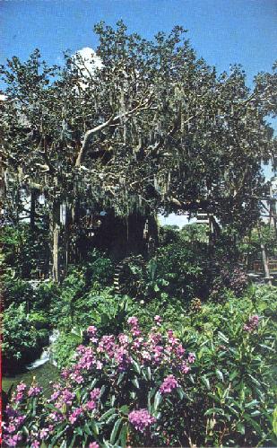 SWISS FAMILY ISLAND TREEHOUSE